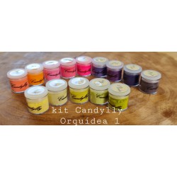 Kit Candylly Orquidea 1 com 14 cores